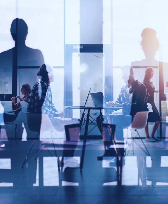 Business professionals collaborating